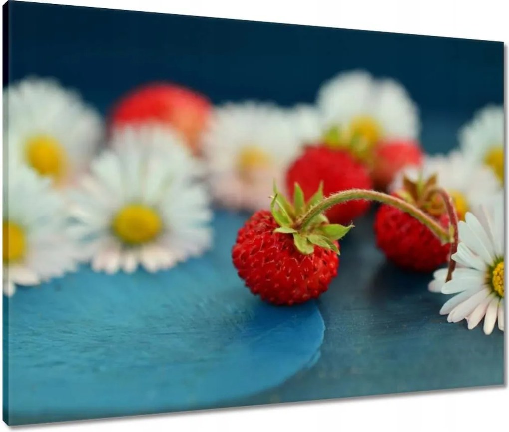 Vászonkép 80x60 Vízszintesek és margaréták