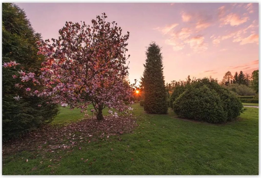 Poszterek 155x105 Kilátás Tájkép