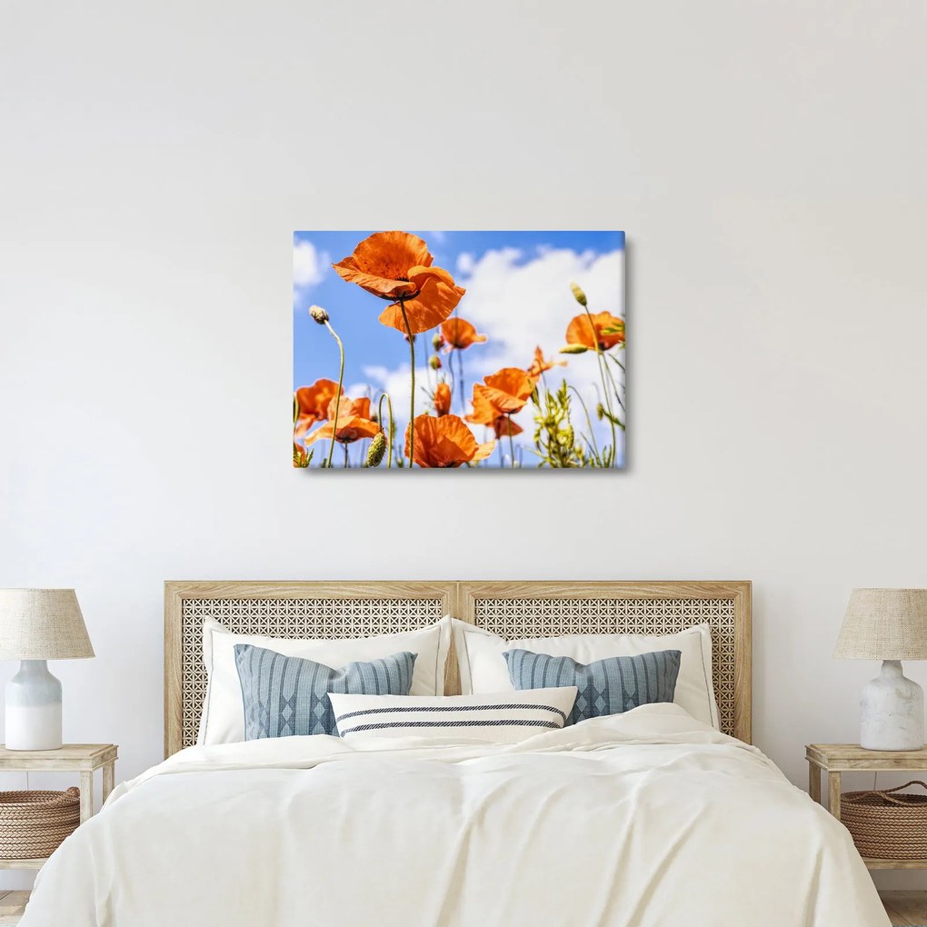 Pipacsok képe (70x50 cm)