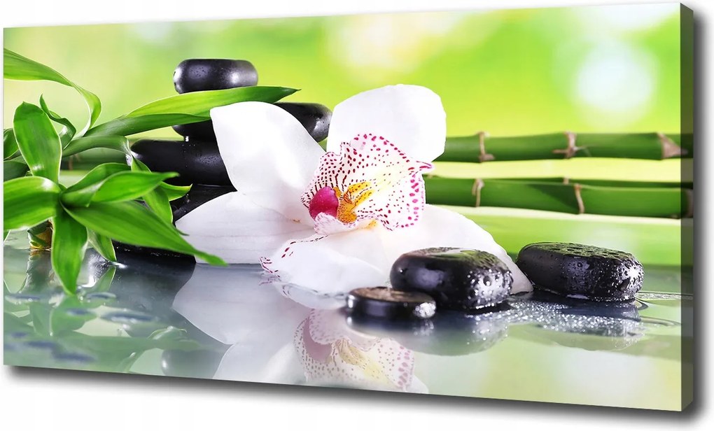 Canvas falikép Orchidea 120x60 cm