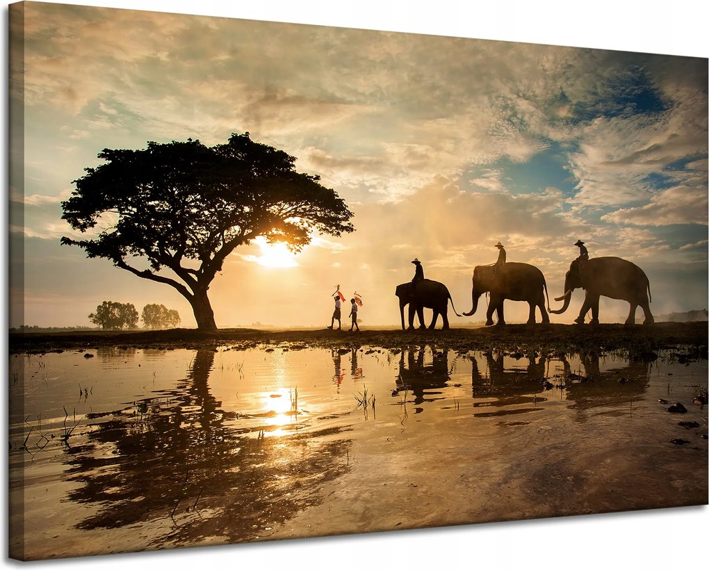 Vászonkép Emberek az elefántokon Naplemente Afrika Szavanna 120x80 cm