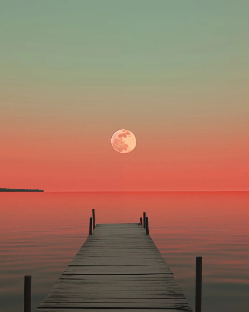 Poszter 40x50cm Hold a víz felett