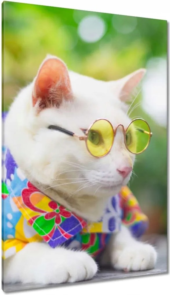 Vászonkép 80x120 Cica Cicák Macskák