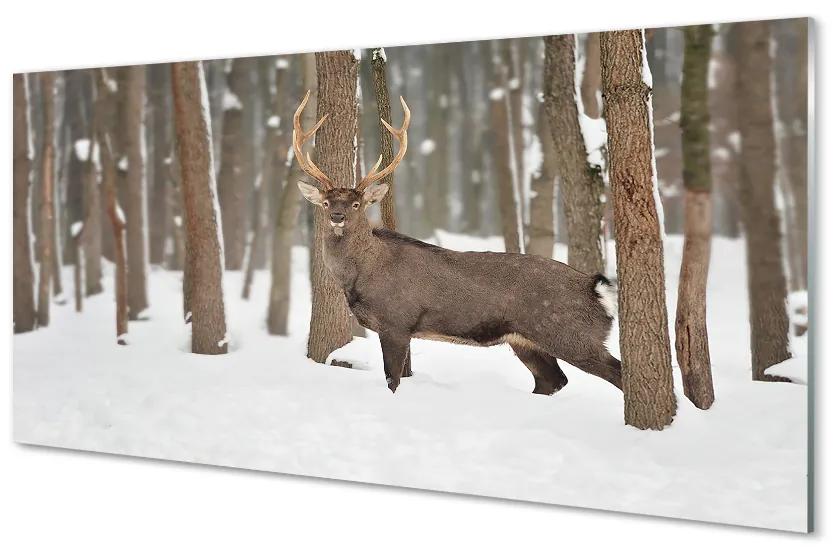 Üvegképek Deer téli erdőben 140x70 cm