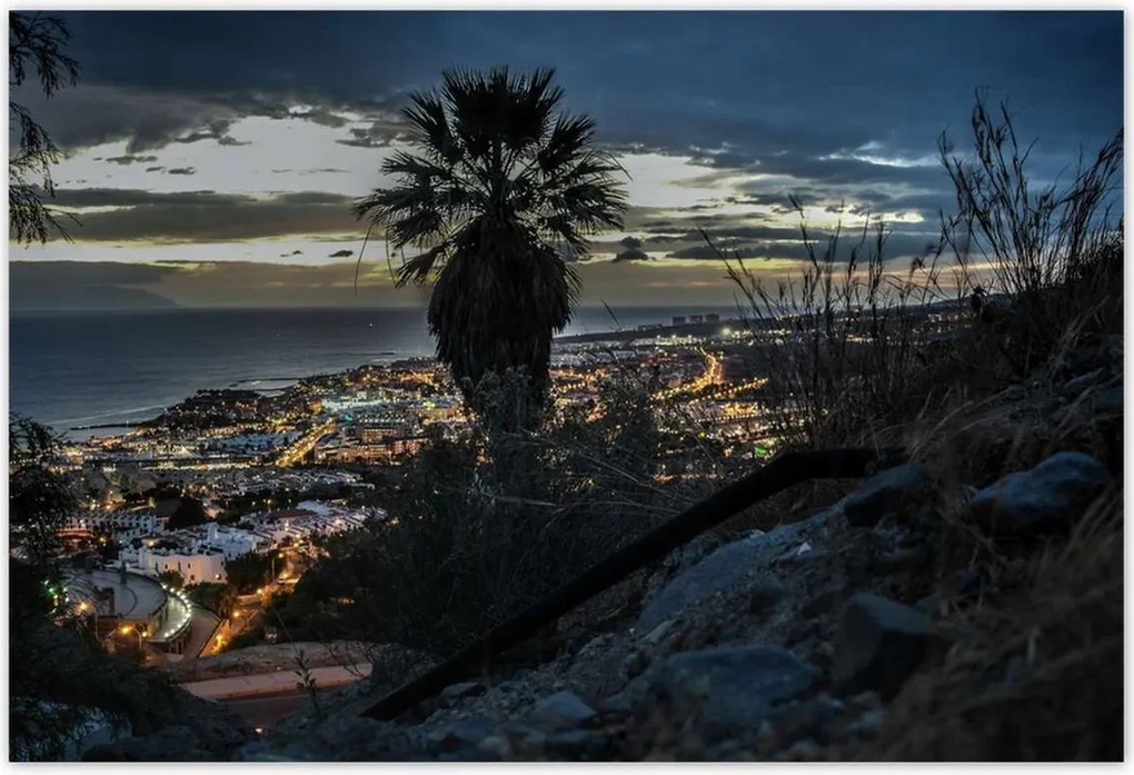 Poszterek 200x135 Tájkép pálmafákkal