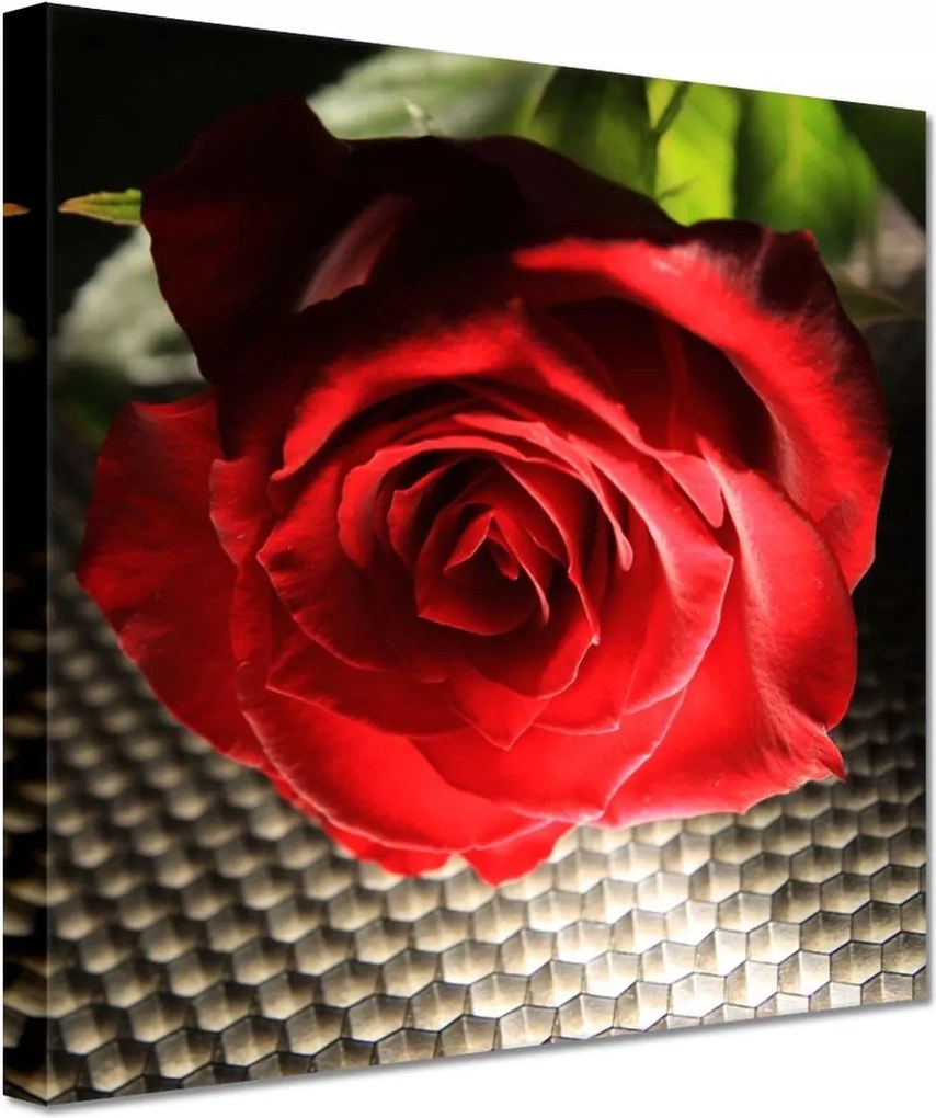 Festmények 20x20 Érdekes ötlet