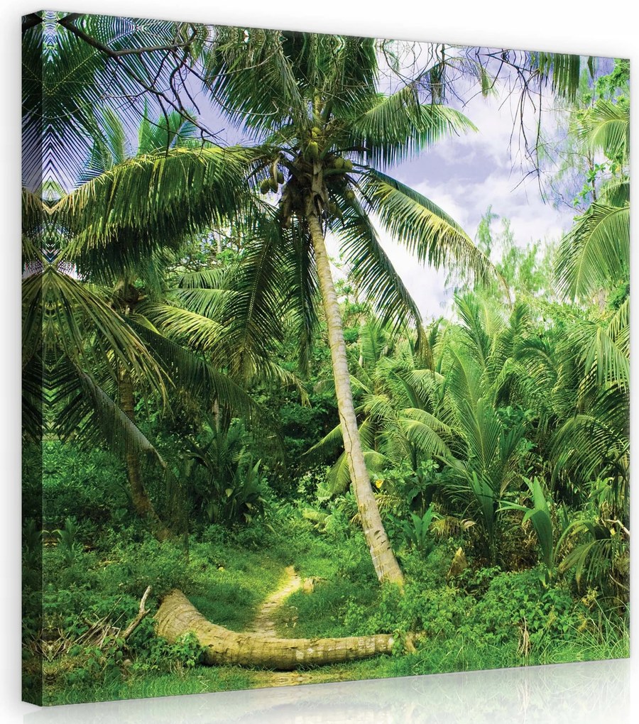 Vászonkép 40x40 Trópusi erdő pálmafák zöld árnyék fény természet nyugalom