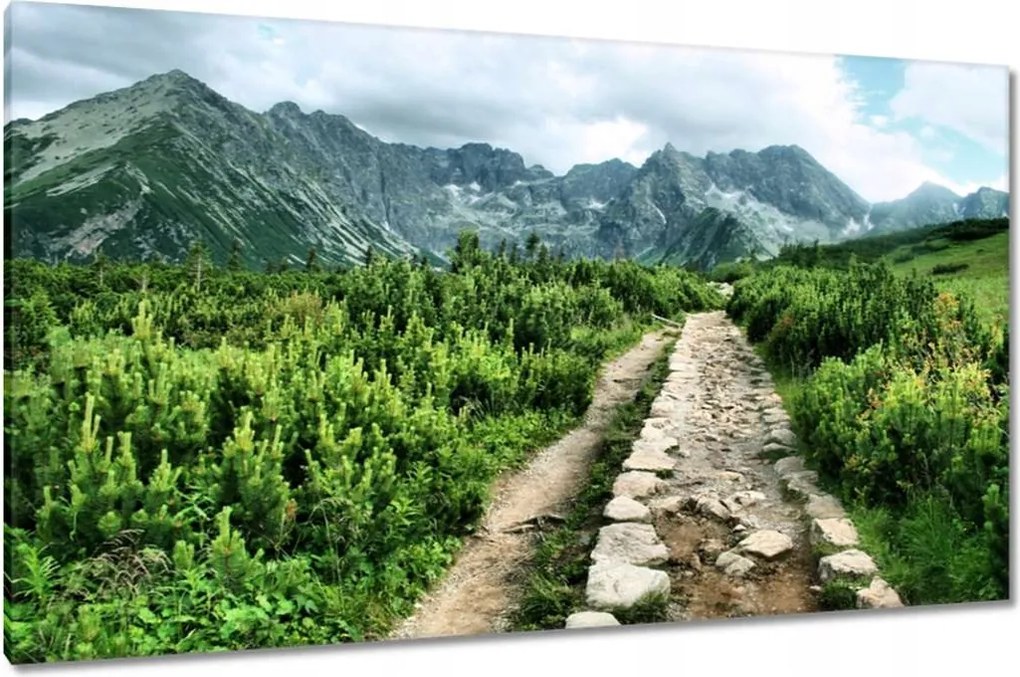 Vászonkép 120x70 Kő út Tátra