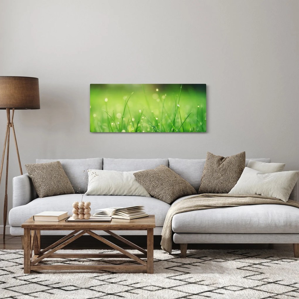 Kép - harmatos fű (120x50 cm)