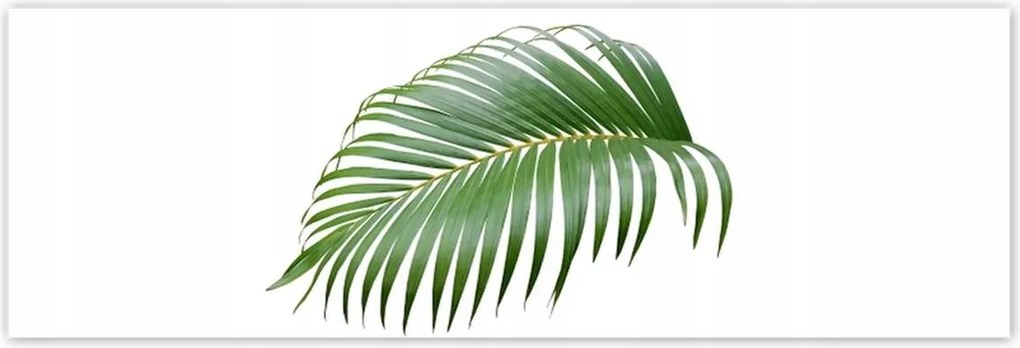 Poszterek 200x66 Zöld levél Minimalizmus