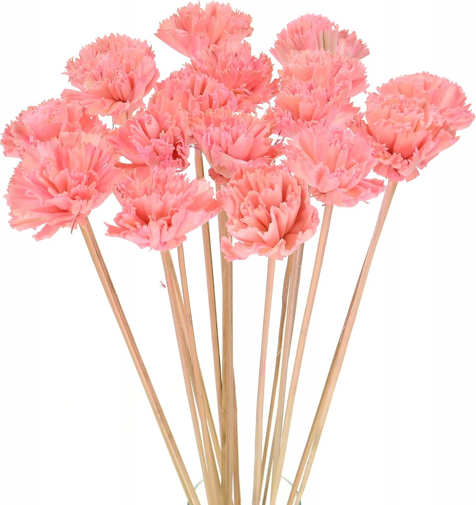 Virág Shola Szegfű rózsaszín a csúcson szárított virágok szárított egzotikus