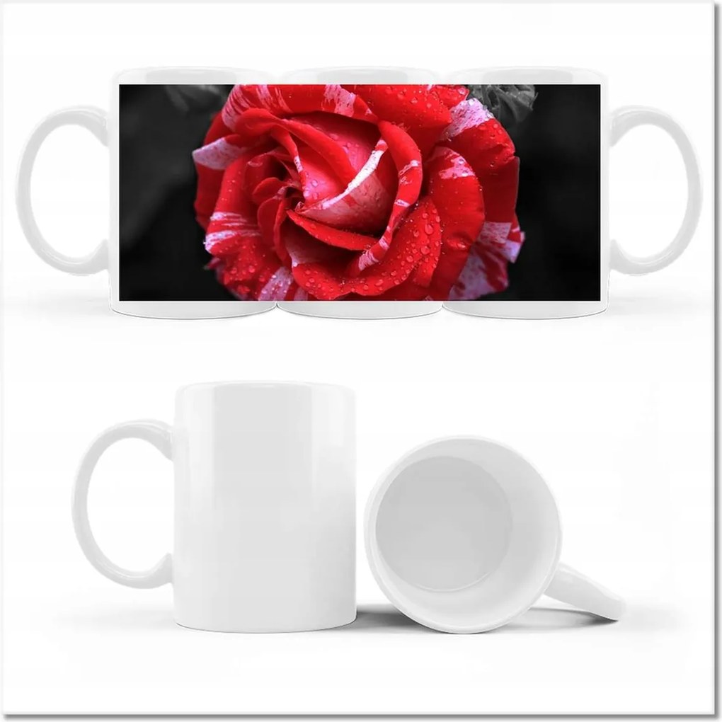 Fényképes bögre Fehér-piros rózsa