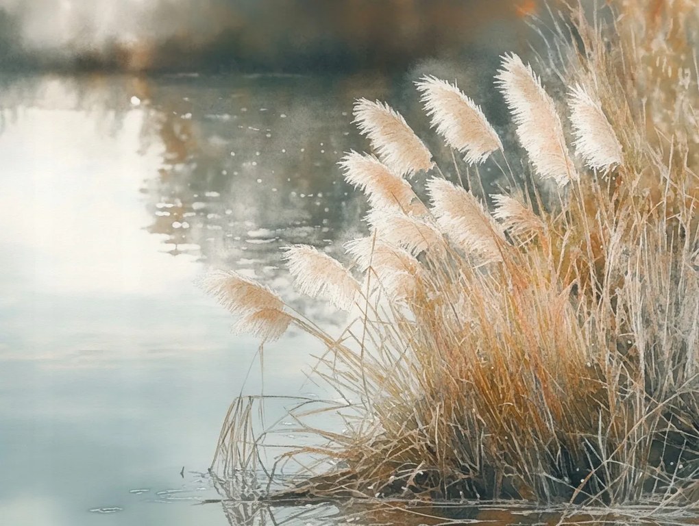 Vászonkép Canvas Tájkép Tó Nád Fű Köd Reggel 80x60