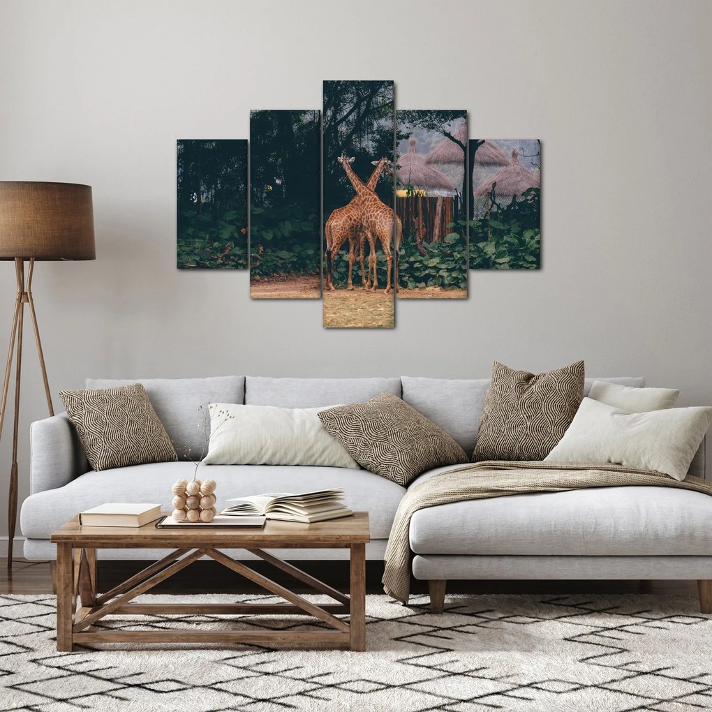 Két zsiráf képe (150x105 cm)