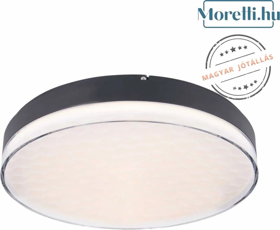 Mennyezeti Lámpa Fekete SEKKO MAXLIGHT C0218