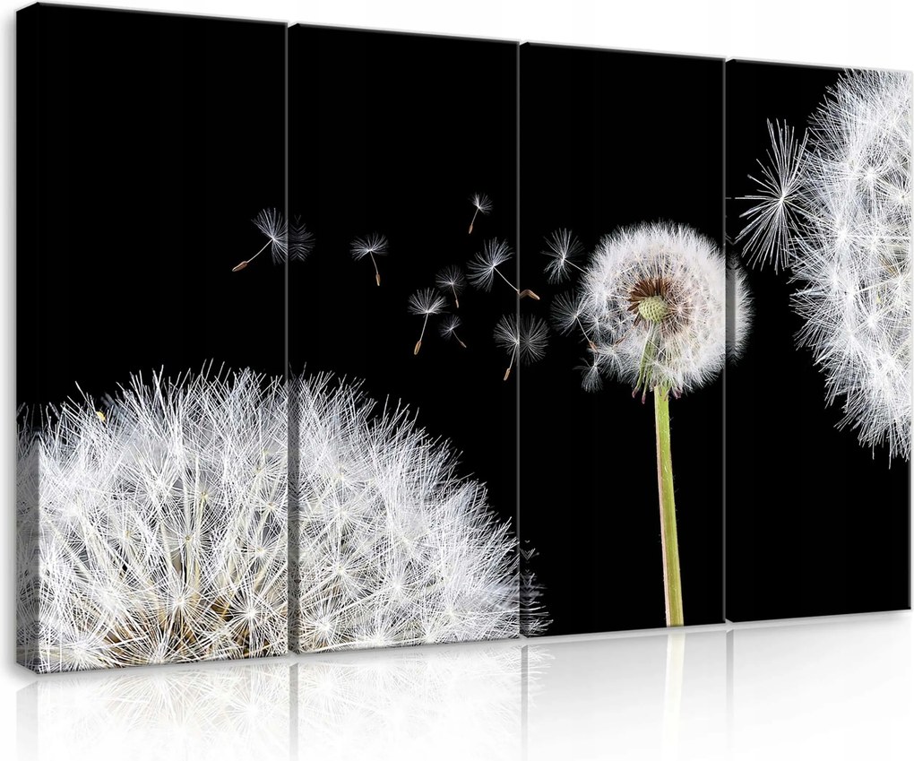 Vászonkép 120x80 Pitypang mag pitypang természet nyár könnyedség