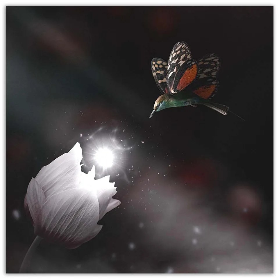 Gario Vászonkép Kolibri és mágikus virág - Zehem Chong Méret: 60 x 60 cm
