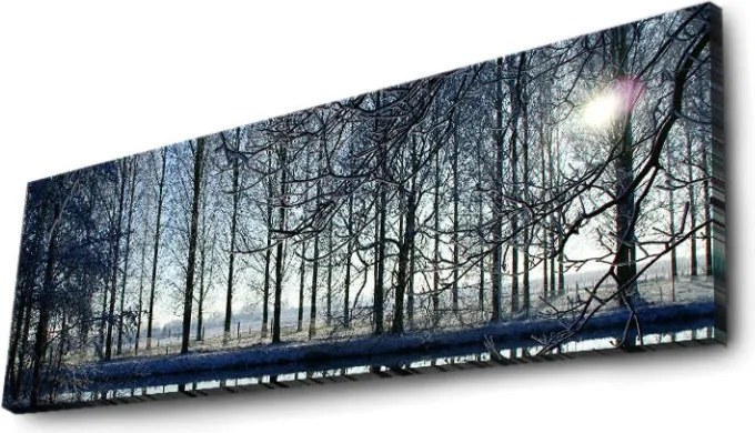 Vászonkép, 30×90 cm – 3090DACT-37