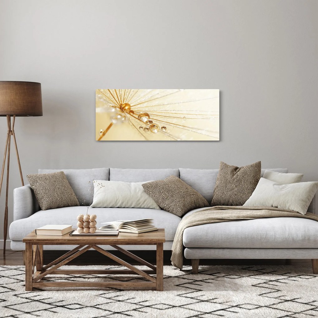 Kép - Makro fotó pitypangról (120x50 cm)