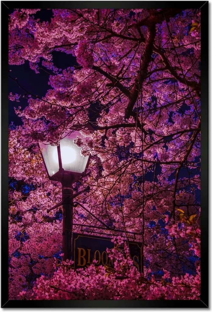 Poszterek keretben 40x60 Mély éjszaka Lámpa Virágok