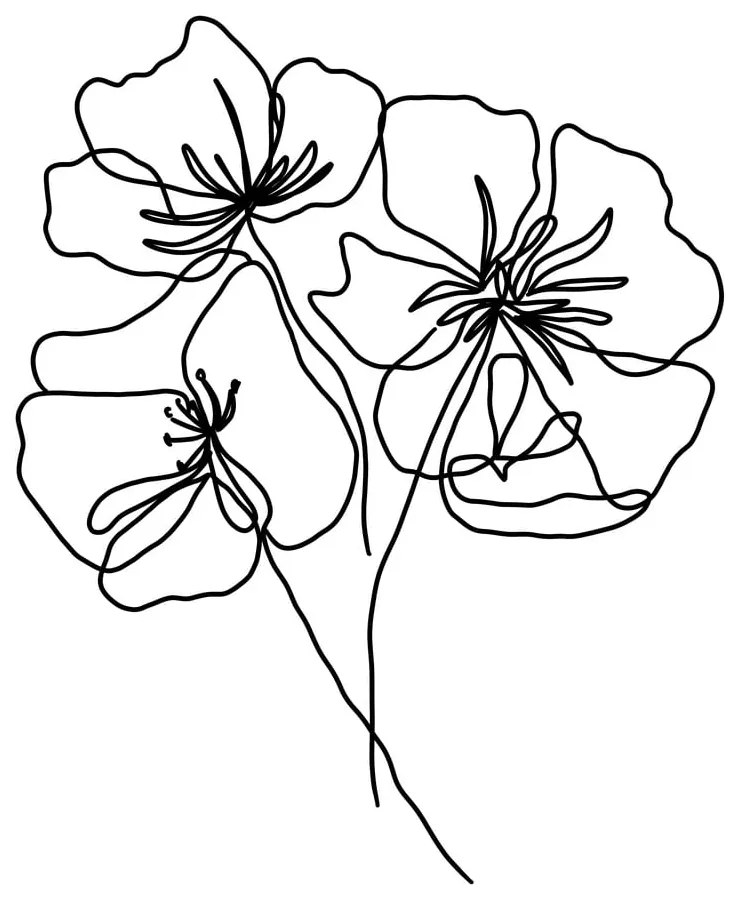 Poszter 29x41 cm Black Poppy – Veronika Boulová