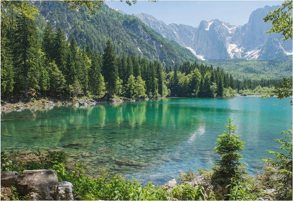 Fotótapéta Flizelin Dekoratív Hálószoba Zöld tó 152x104