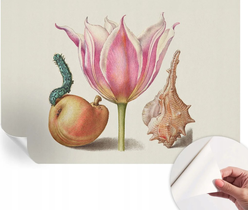 Öntapadós Dekoratív Fotótapéta Hálószobába Természetes szimbiózis 152x104