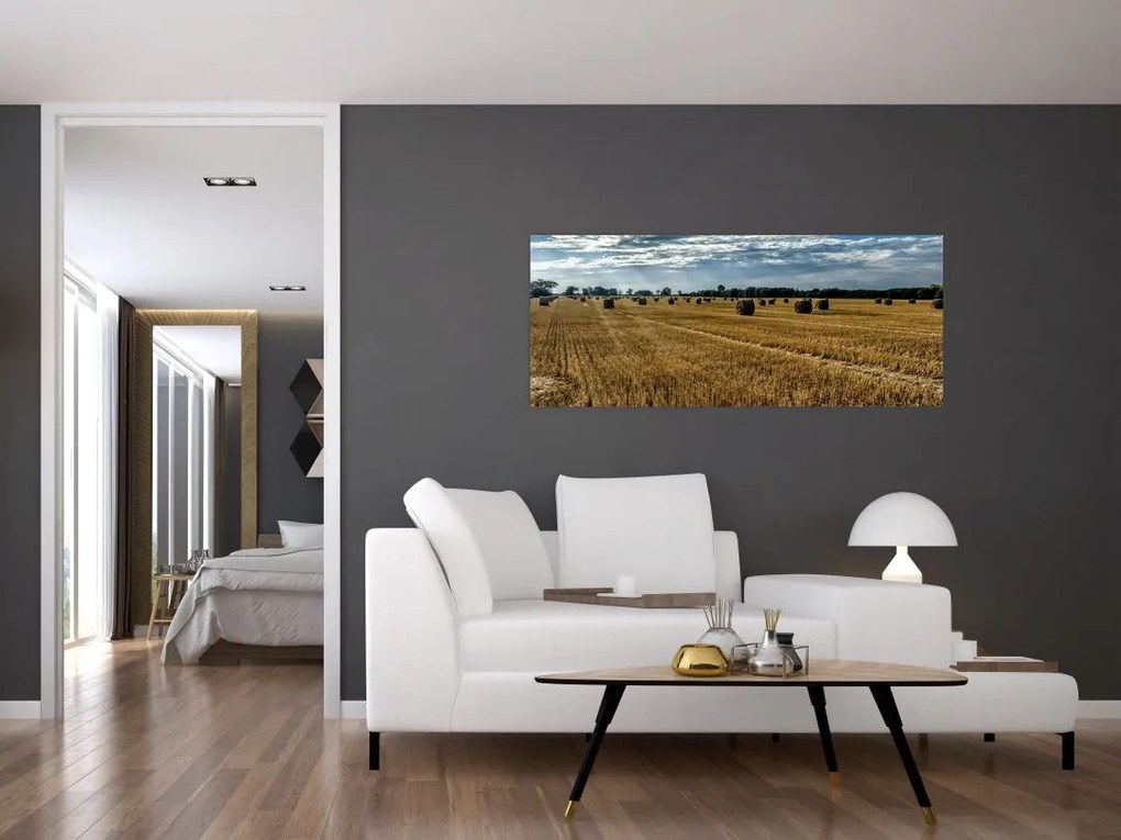 Betakarított gabona mező képe (120x50 cm)