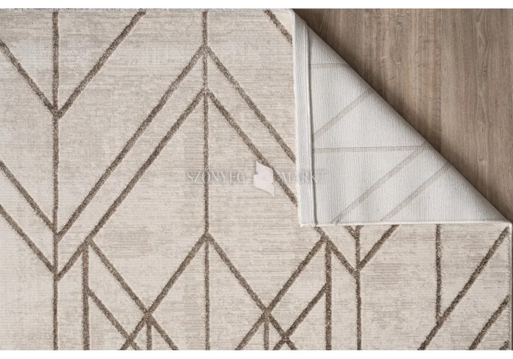 Pastuler 286A modern mintájú szőnyeg (Beige) 160x220 cm