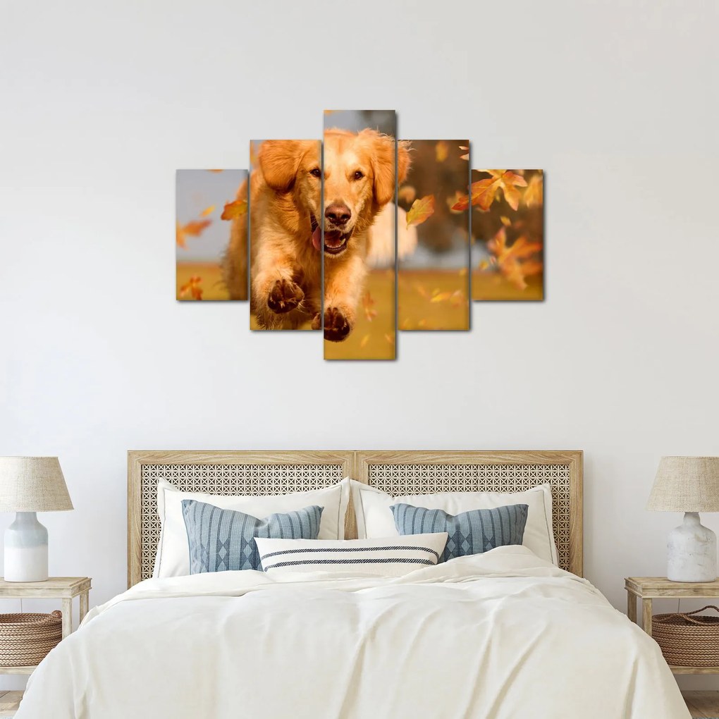 Kép - Golden Retriever (150x105 cm)