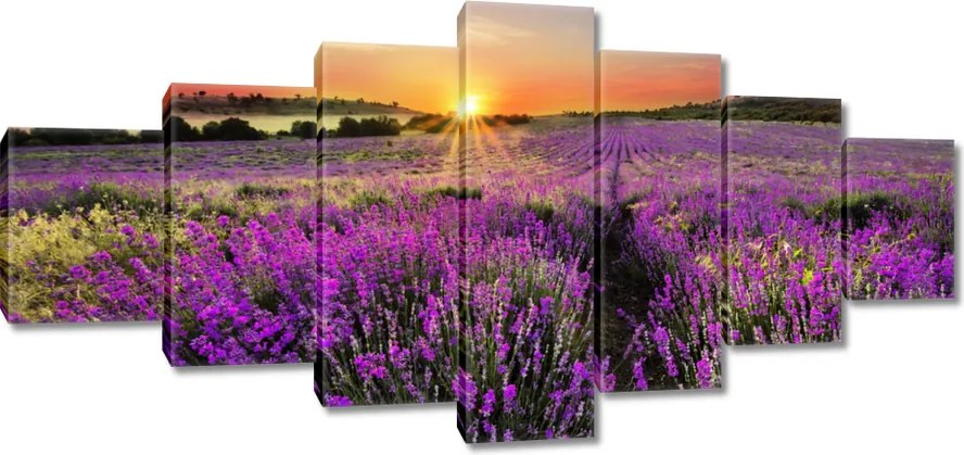 Vászonkép 210x100 Levendulamező Nyugat