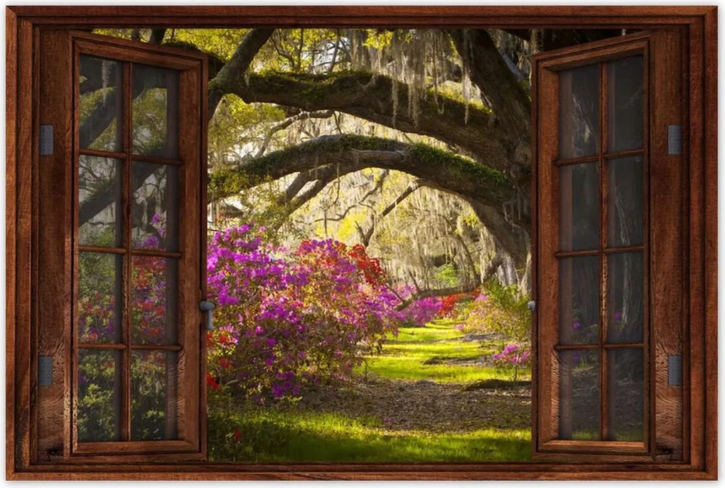 Poszterek 90x60 Tölgyfa sikátor