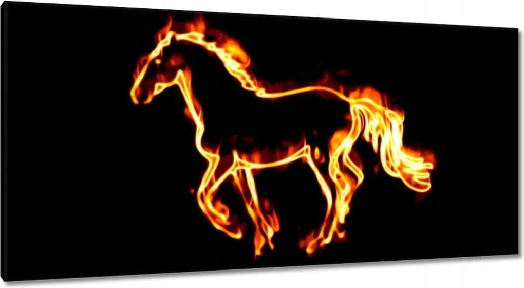 Vászonkép 115x55 Tűz paripa