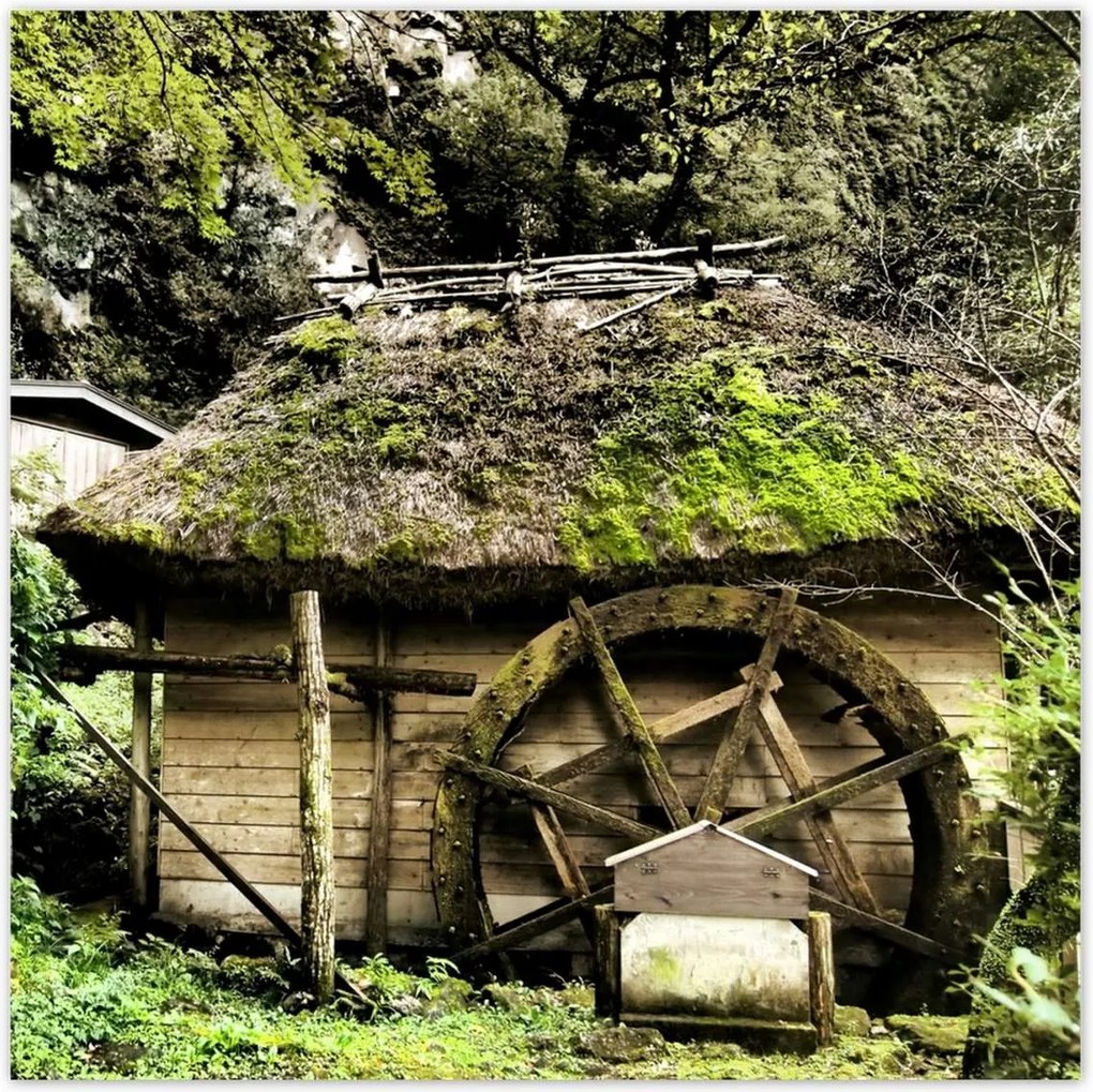 Poszterek 100x100 Vízimalom nádtetővel