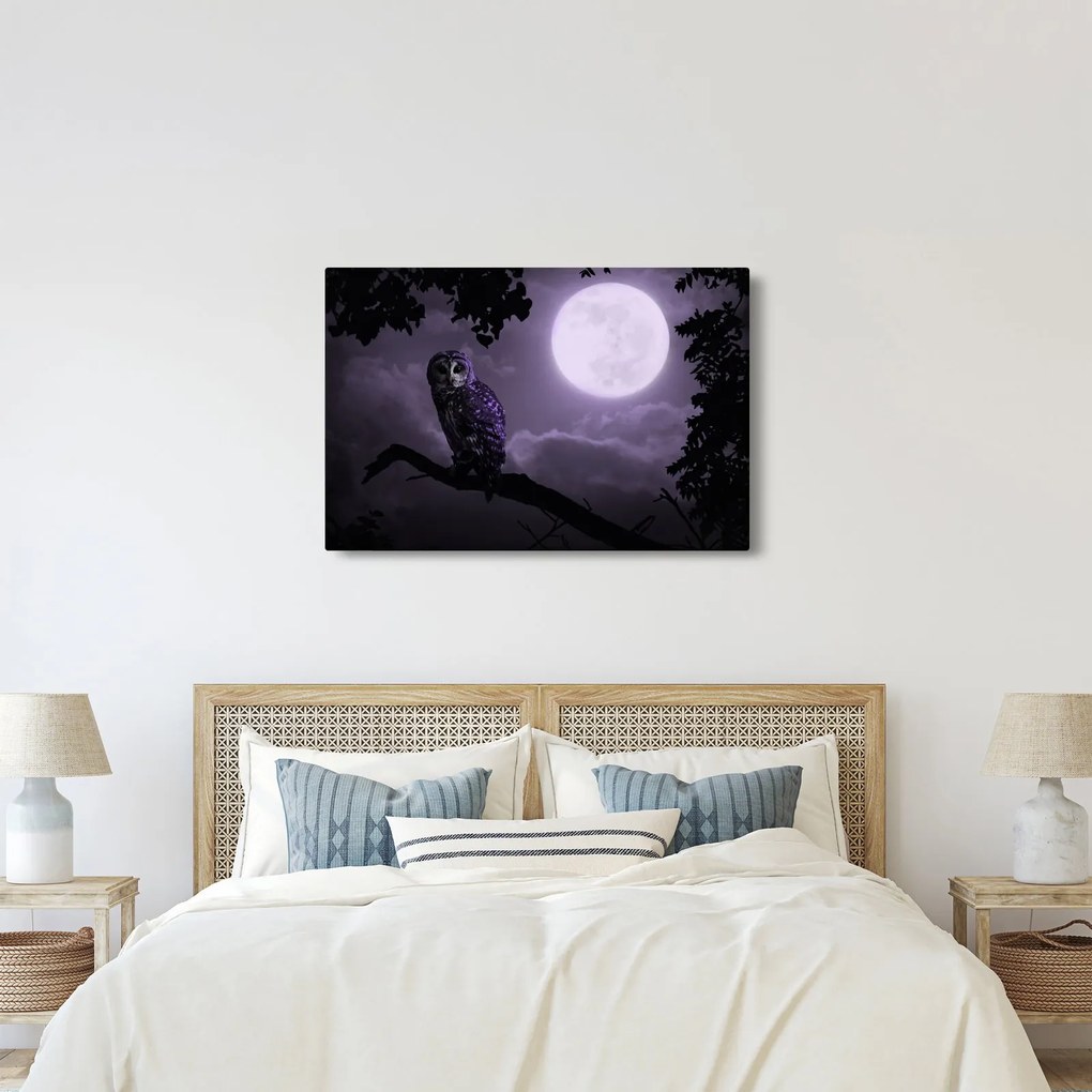 Kép - Éjjeli bagoly, lila (90x60 cm)