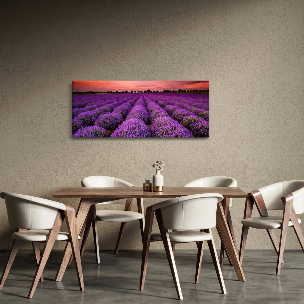 Kép - Levendula mező (120x50 cm)