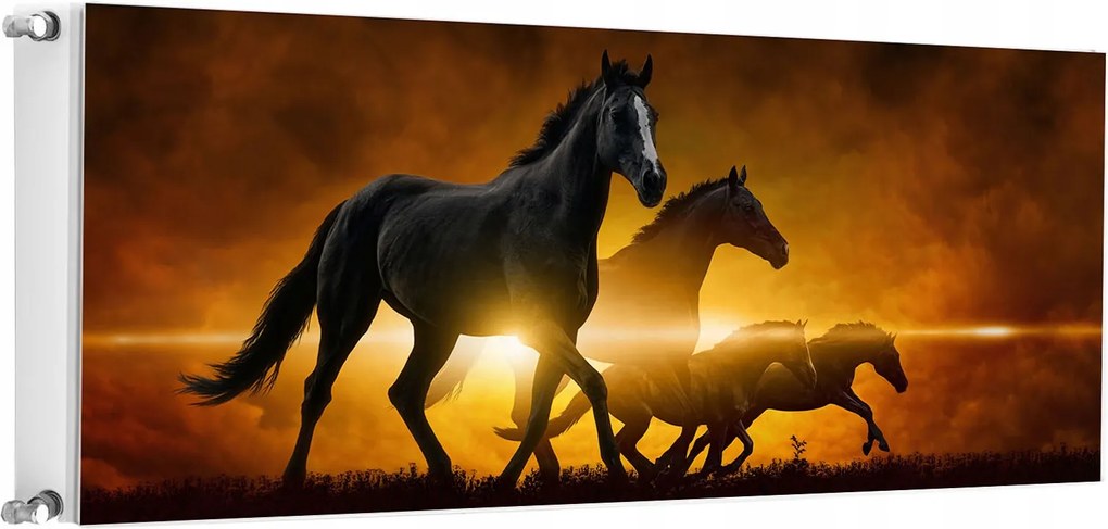 Mágneses Radiátorszőnyeg 140x60 Lovak Fotótapéta