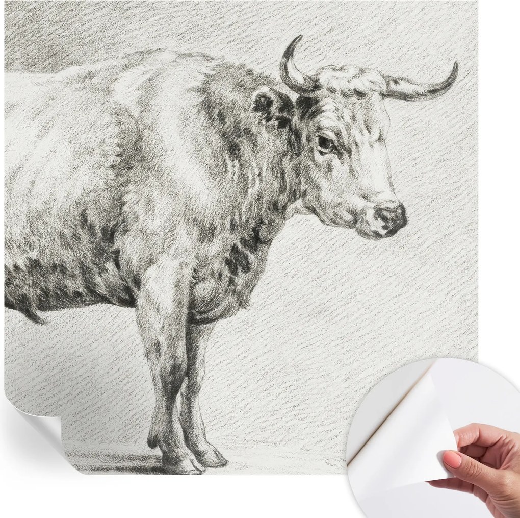 Öntapadós Dekoratív Fotótapéta Hálószobába Bika ceruza 250x250 cm