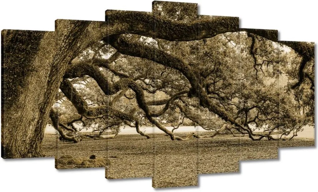 Festmények 140x80 Erőteljes tölgy