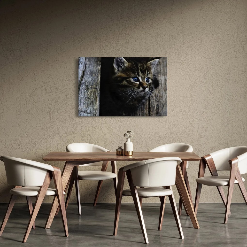 Cica képe (90x60 cm)