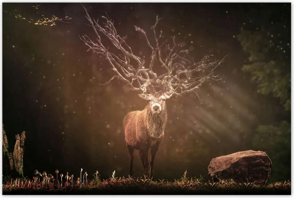 Poszterek 120x80 Szarvas felszarvazott