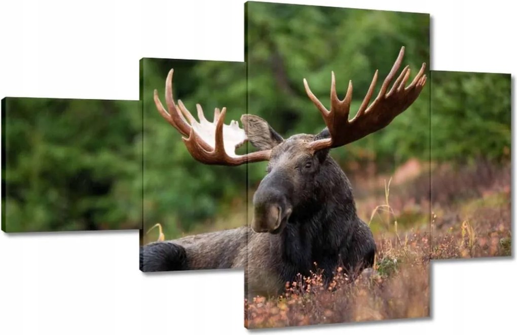 Festmények 130x80 Szarvas a csarnokban