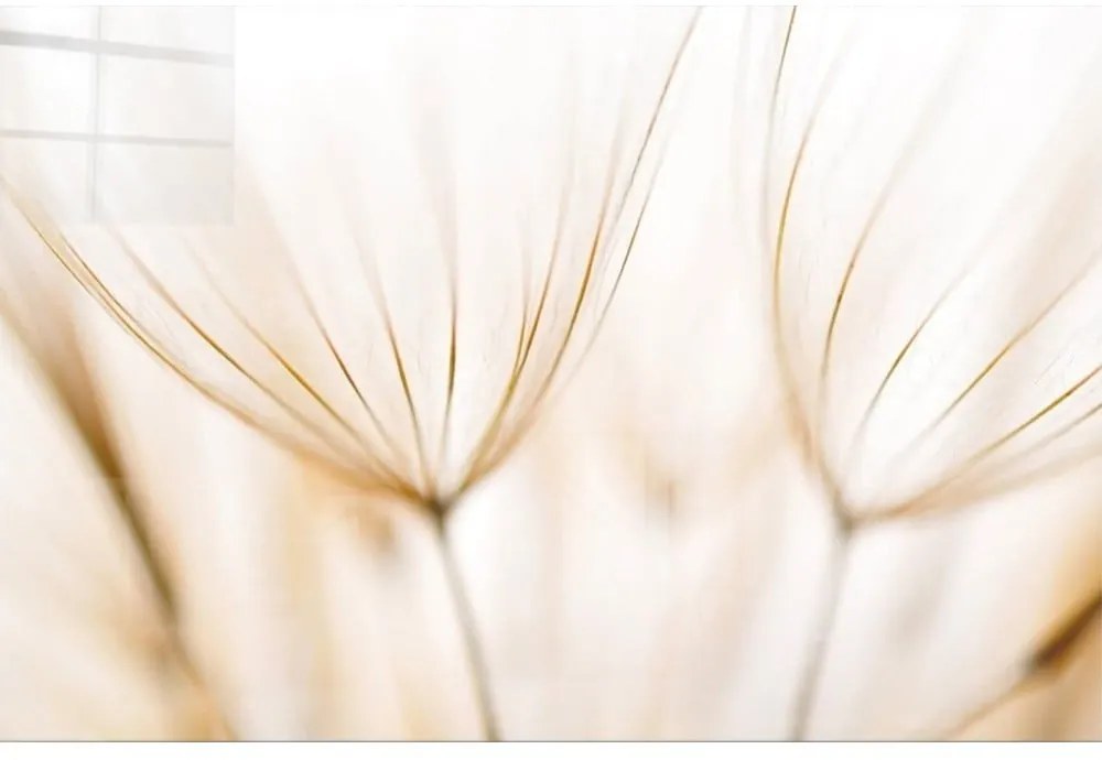 Üveg kép 70x50 cm Fluff – Wallity