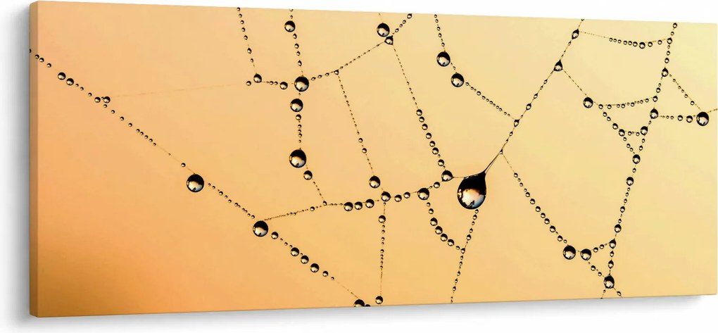 Egy harmatos pókháló képe (120x50 cm)