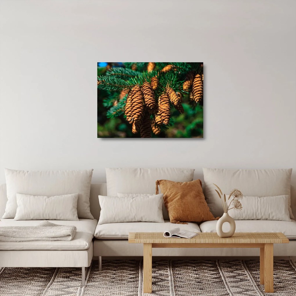 Fenyőtobozok képe (üvegen) (70x50 cm)