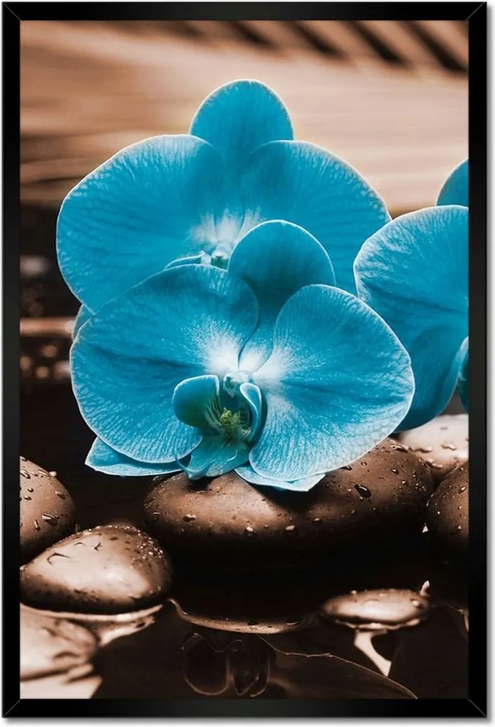 Poszter keretben 40x60 Türkiz orchidea