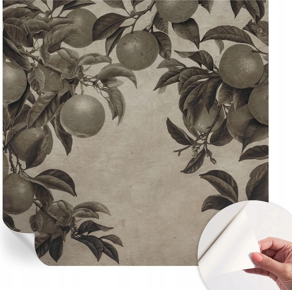 Öntapadós Dekoratív Fotótapéta Hálószobába Gyümölcsös minta 250x250 cm