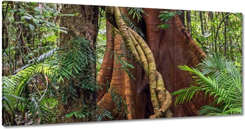 Festmények 180x90 Tájkép Látvány