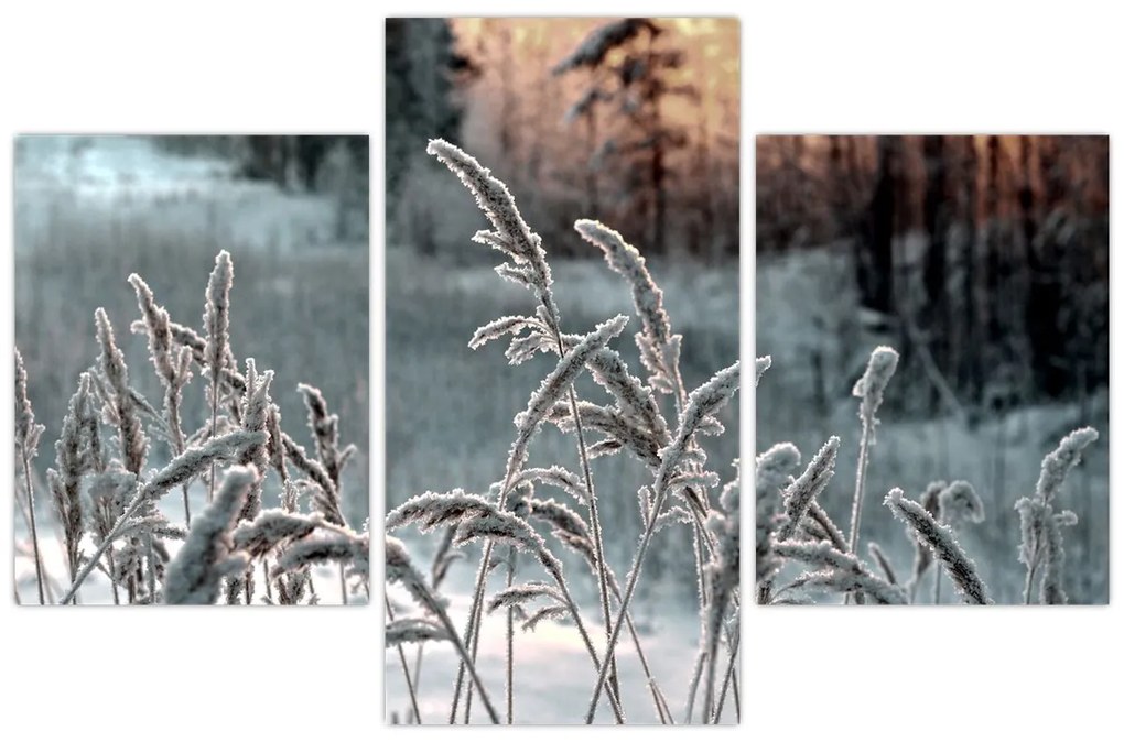 Kép - Fagyott rét (90x60 cm)