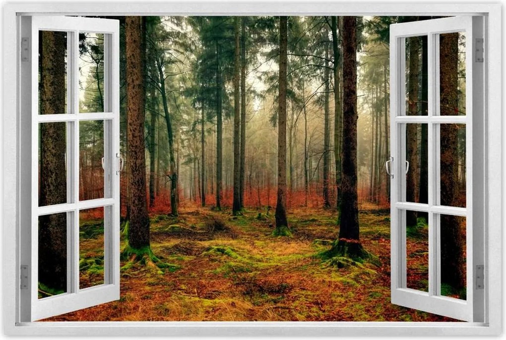 Poszterek 60x40 Erdei táj Kilátás